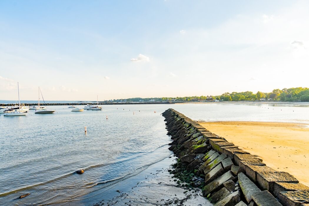Rye City