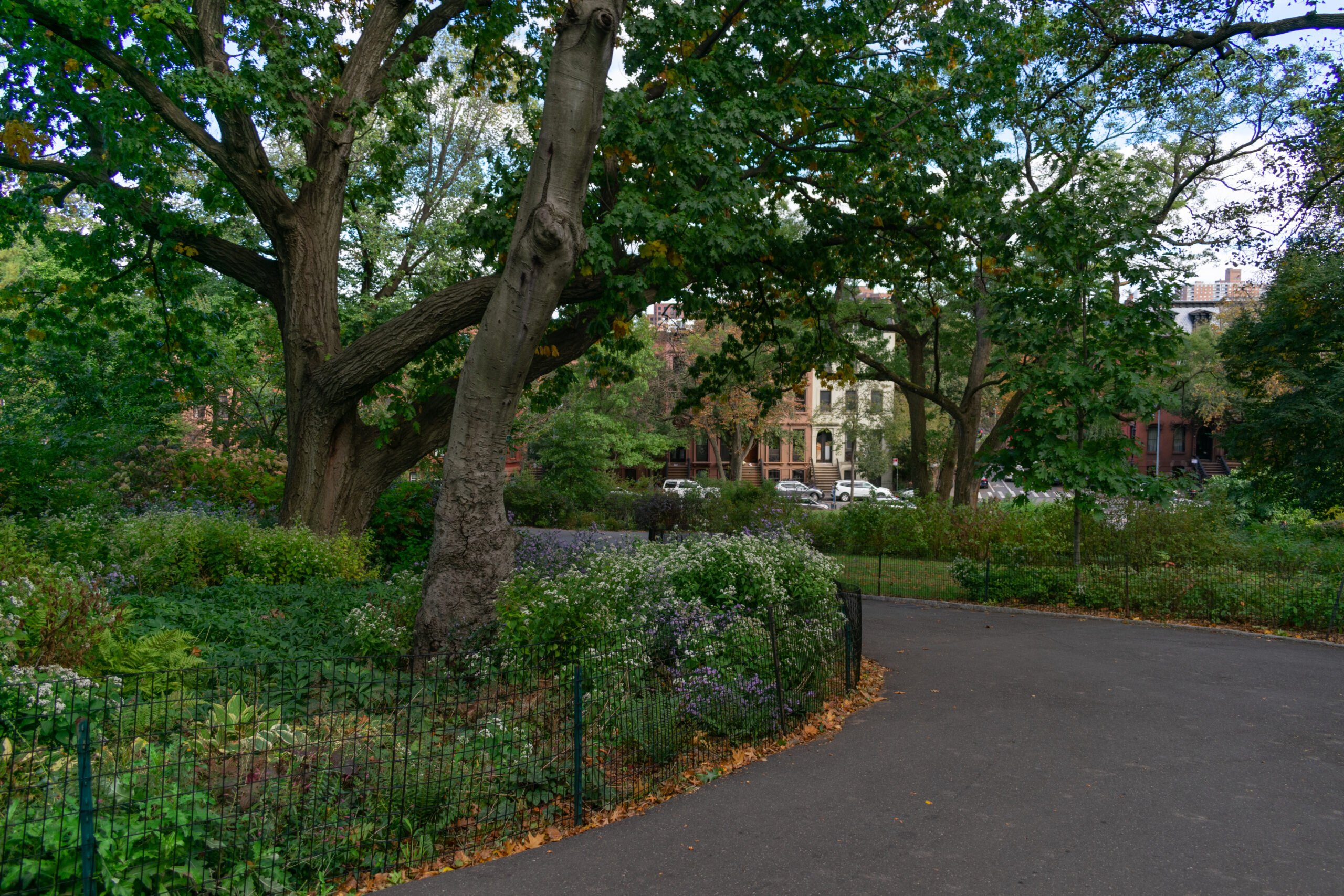 Fort Greene