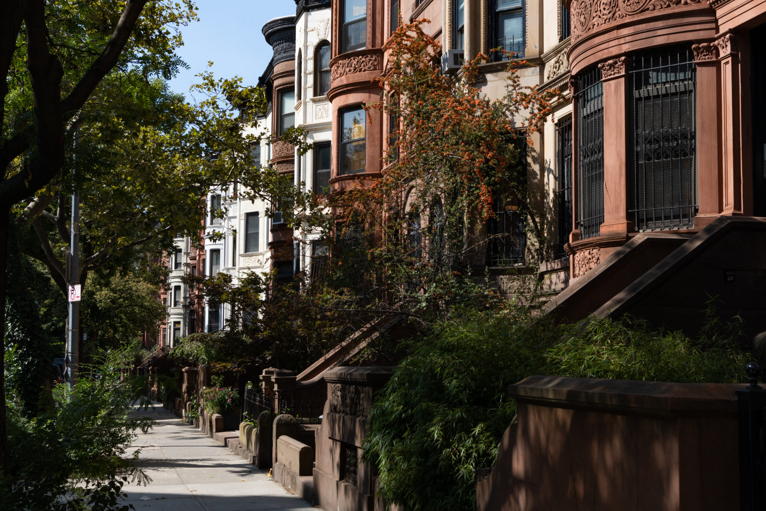 Prospect Heights