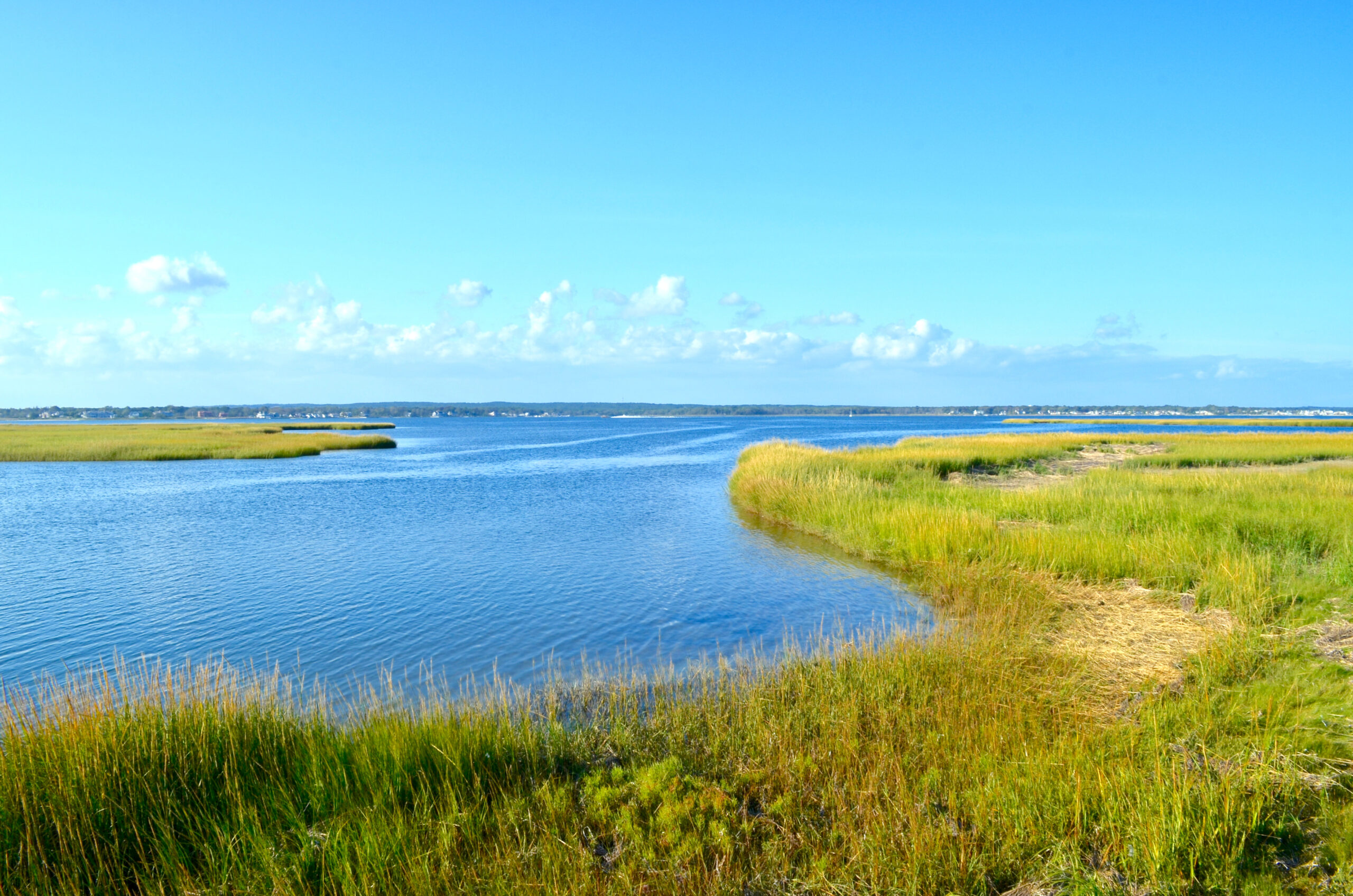 Quogue
